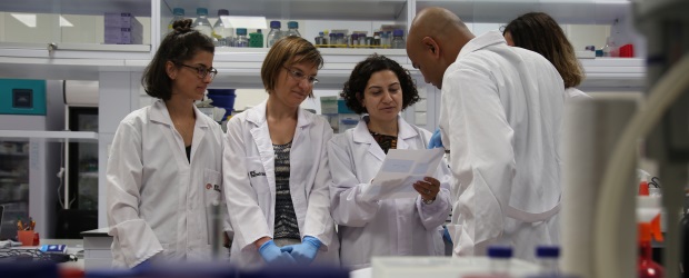 Kanserle Mücadelede Metastazdan Sorumlu Proteinler Yakalandı