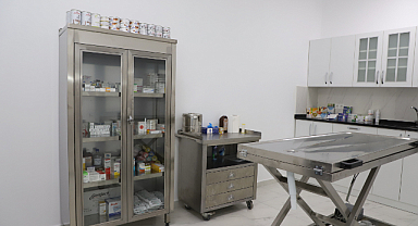 ŞİLE BELEDİYESİ’NDEN SOKAK HAYVANLARI İÇİN ÖZEL OPERASYON MERKEZİ