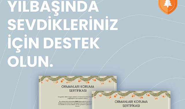 Türkiye’de her yıl ortalama 2.793 orman yangını meydana geliyor!
