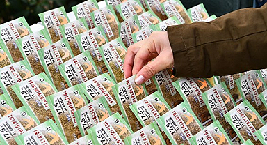 Yılbaşında büyük ikramiye 400 milyon TL!