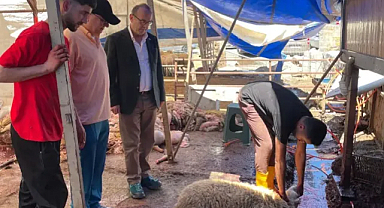 MİSİAD Üsküdar’dan İhtiyaç Sahiplerine Kurban Desteği